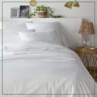 Design sem nome – 4