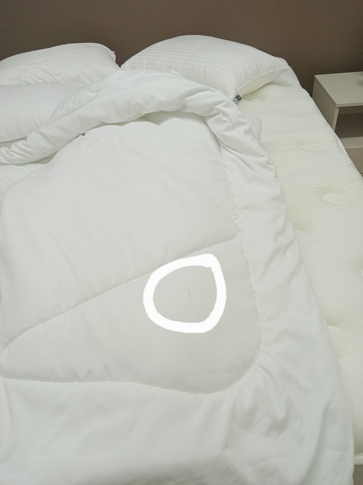 WhatsApp Image 2025-10-22 at 15.29.32